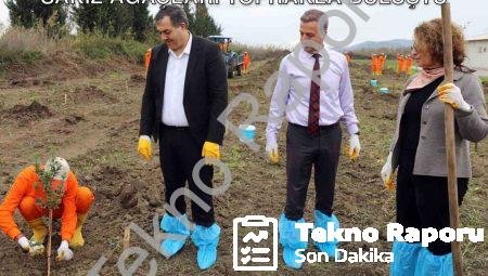 Dalaman Açık Cezaevi’nde Üretime Destek: Sakız Ağaçları Toprakla Buluştu