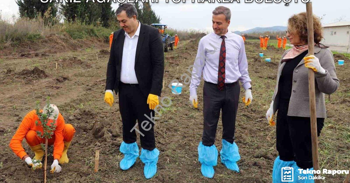 "Dalaman Açık Cezaevi’nde Üretime Destek: Sakız Ağaçları Toprakla Buluştu" başlıklı haber için fotor