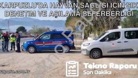 Karpuzlu’da Hayvan Sağlığı İçin Sıkı Denetim ve Aşılama Seferberliği