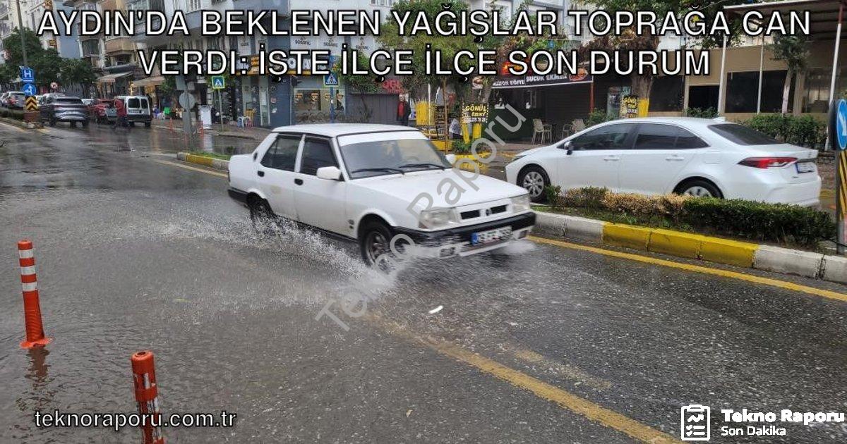 "Aydın'da Beklenen Yağışlar Toprağa Can Verdi: İşte İlçe İlçe Son Durum" başlıklı haber için fotorea