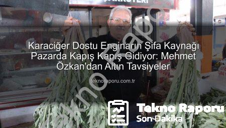 Karaciğer Dostu Enginarın Şifa Kaynağı Pazarda Kapış Kapış Gidiyor: Mehmet Özkan’dan Altın Tavsiyeler
