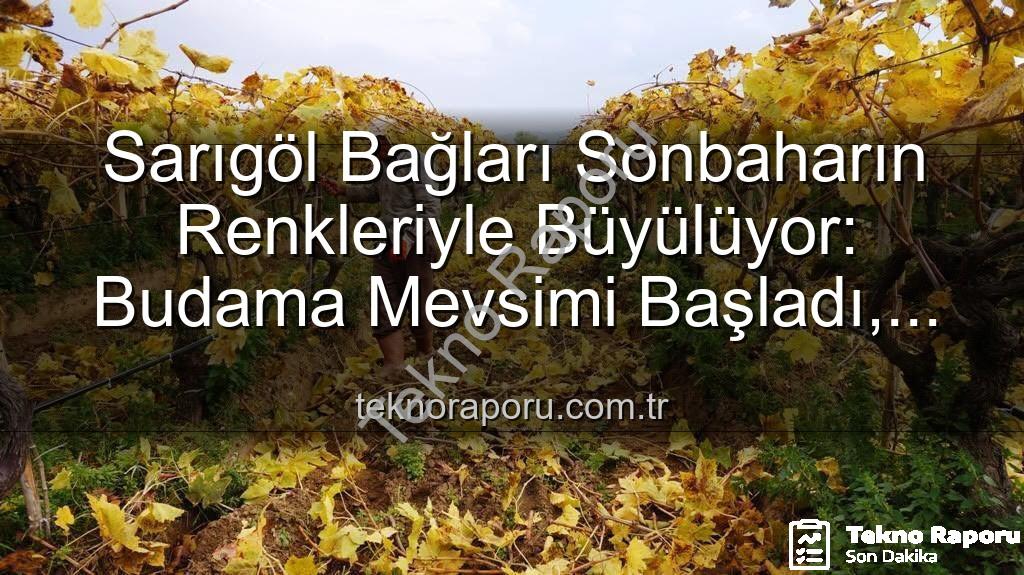 Sarıgöl bağları - Sarıgöl Bağları Sonbaharın Renkleriyle Büyülüyor: Budama Mevsimi Başladı, Yevmiyeler Açıklandı