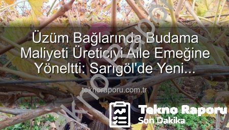 Üzüm Bağlarında Budama Maliyeti Üreticiyi Aile Emeğine Yöneltti: Sarıgöl’de Yeni Dönem