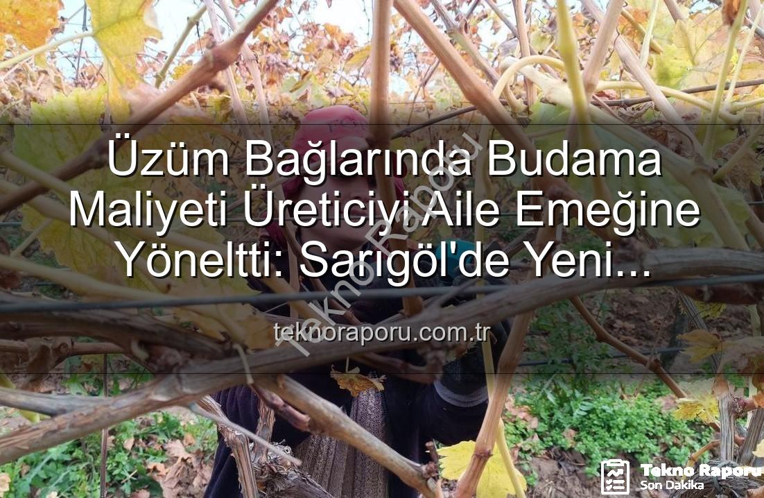 budama maliyeti - Üzüm Bağlarında Budama Maliyeti Üreticiyi Aile Emeğine Yöneltti: Sarıgöl'de Yeni Dönem