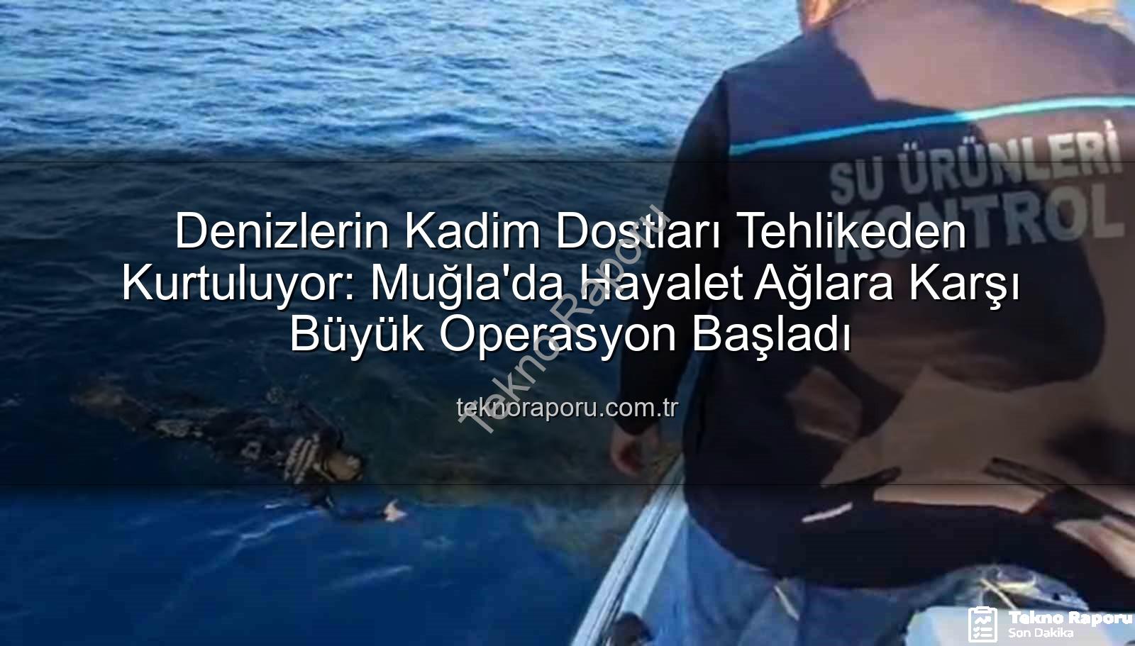 hayalet ağ - Denizlerin Kadim Dostları Tehlikeden Kurtuluyor: Muğla'da Hayalet Ağlara Karşı Büyük Operasyon Başladı
