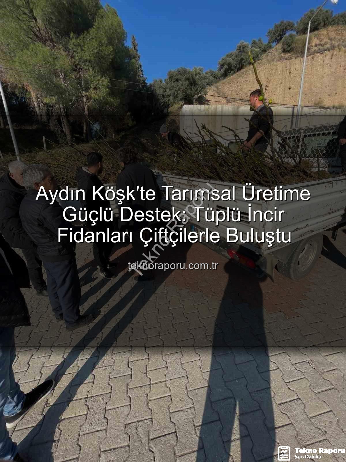 tüplü incir fidanı - Aydın Köşk'te Tarımsal Üretime Güçlü Destek: Tüplü İncir Fidanları Çiftçilerle Buluştu