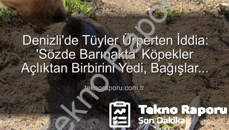 Denizli’de Tüyler Ürperten İddia: ‘Sözde Barınakta’ Köpekler Açlıktan Birbirini Yedi, Bağışlar İstismar Edildi