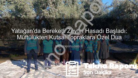 Yatağan’da Bereketli Zeytin Hasadı Başladı: Müftülükten Kutsal Topraklara Özel Dua