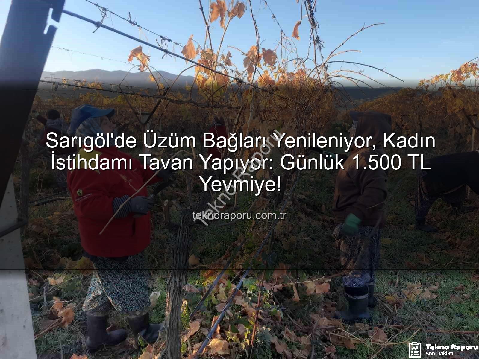 kadın istihdamı - Sarıgöl'de Üzüm Bağları Yenileniyor, Kadın İstihdamı Tavan Yapıyor: Günlük 1.500 TL Yevmiye!