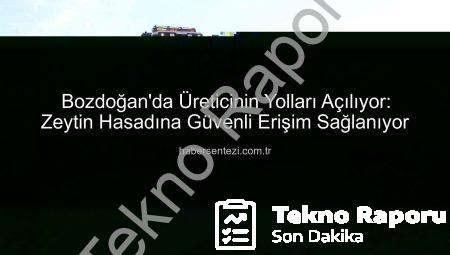 Bozdoğan’da Üreticinin Yolları Açılıyor: Belediye Ekipleri Zeytin Hasadı Öncesi Seferber Oldu