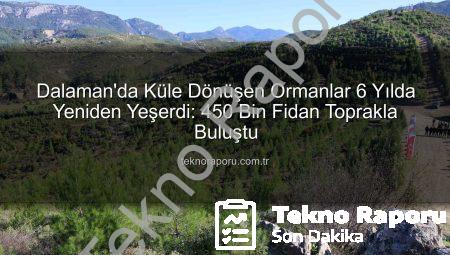 Dalaman’da Küle Dönüşen Ormanlar 6 Yılda Yeniden Yeşerdi: 450 Bin Fidan Toprakla Buluştu