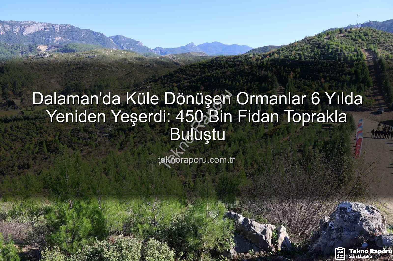 orman yangınları sonrası ağaçlandırma - Dalaman'da Küle Dönüşen Ormanlar 6 Yılda Yeniden Yeşerdi: 450 Bin Fidan Toprakla Buluştu